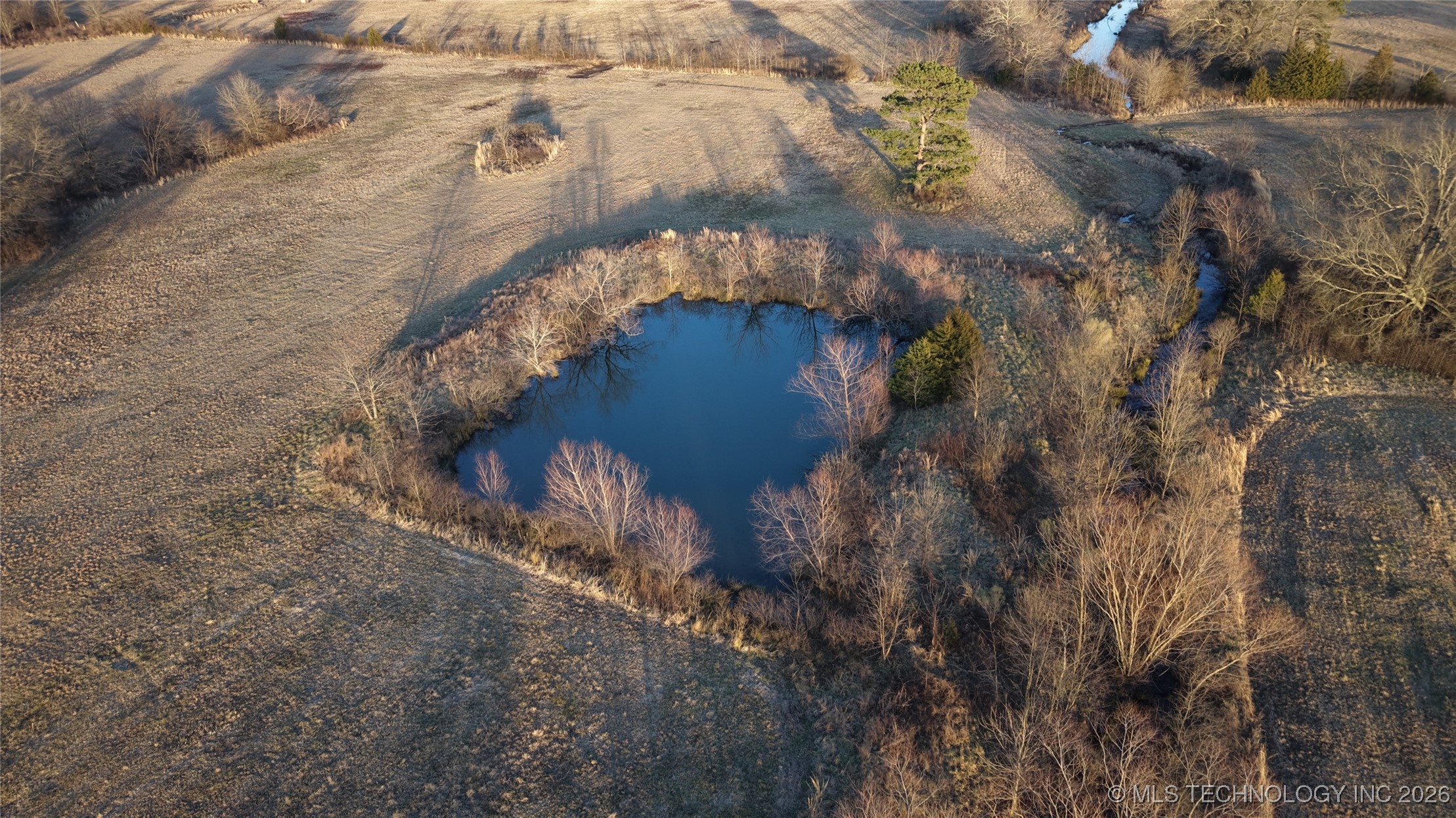 100 Property Photo 12