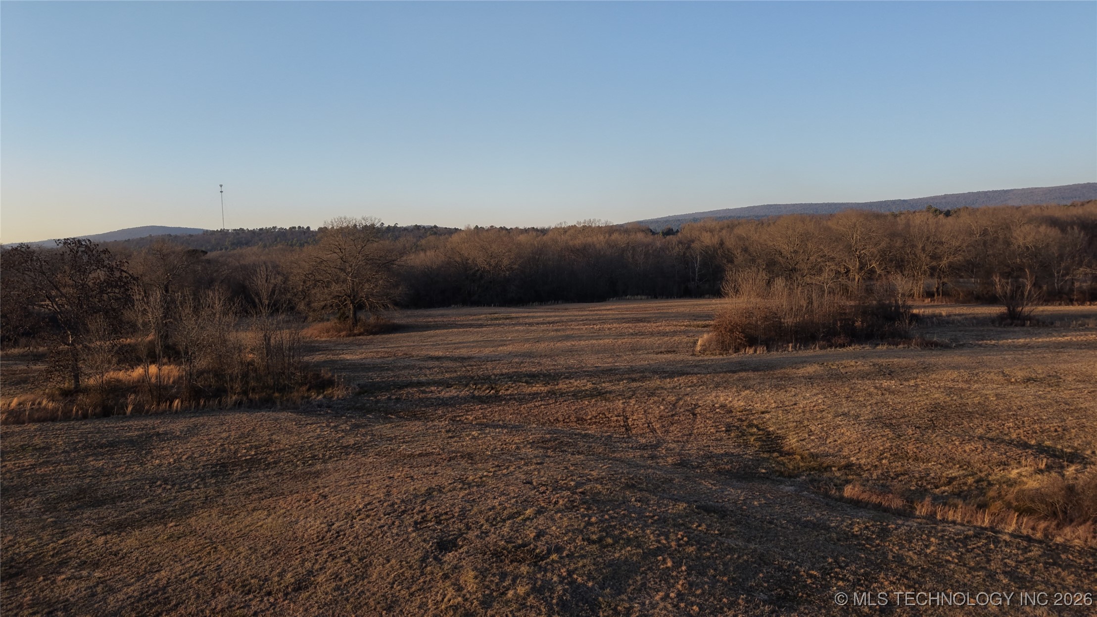 100 Property Photo 14