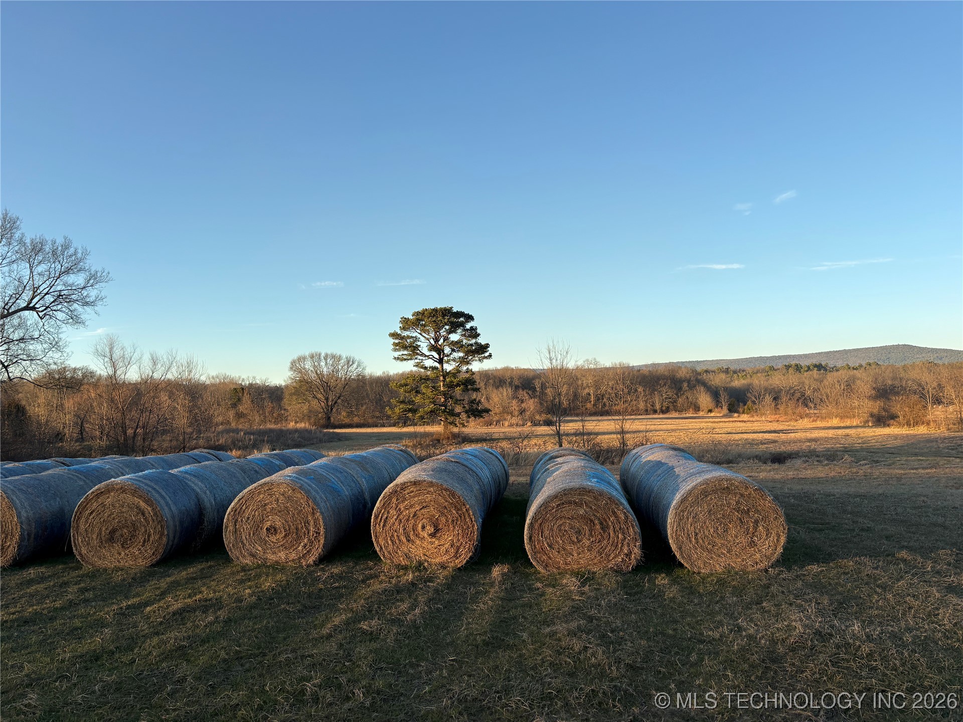 100 Property Photo 27