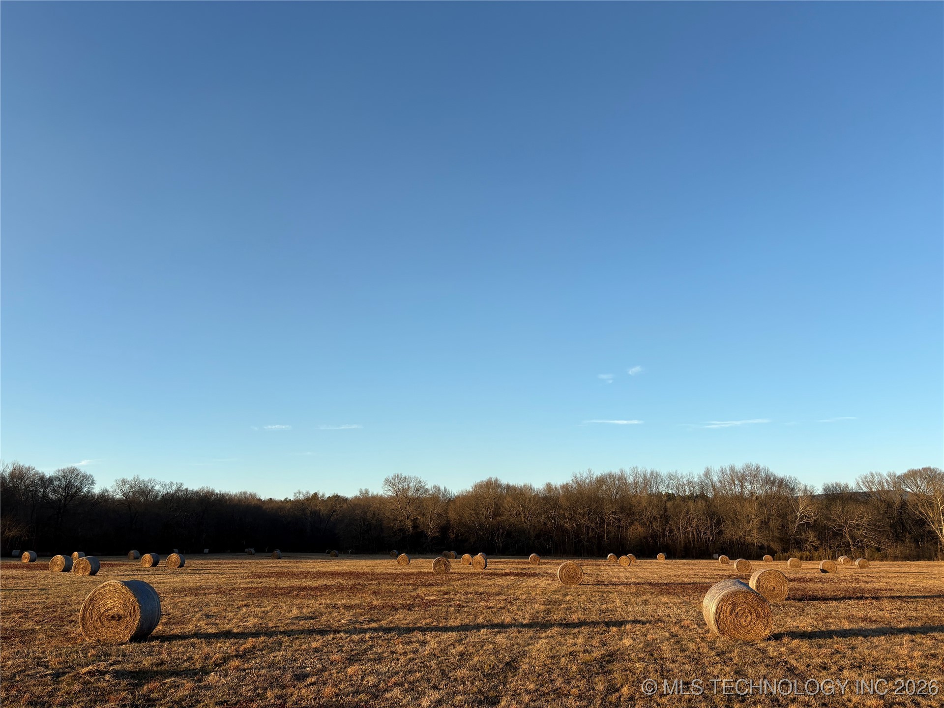 100 Property Photo 28