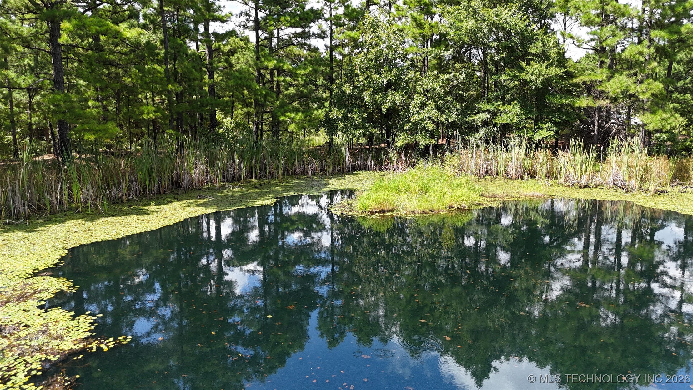 2602861 Property Photo 2