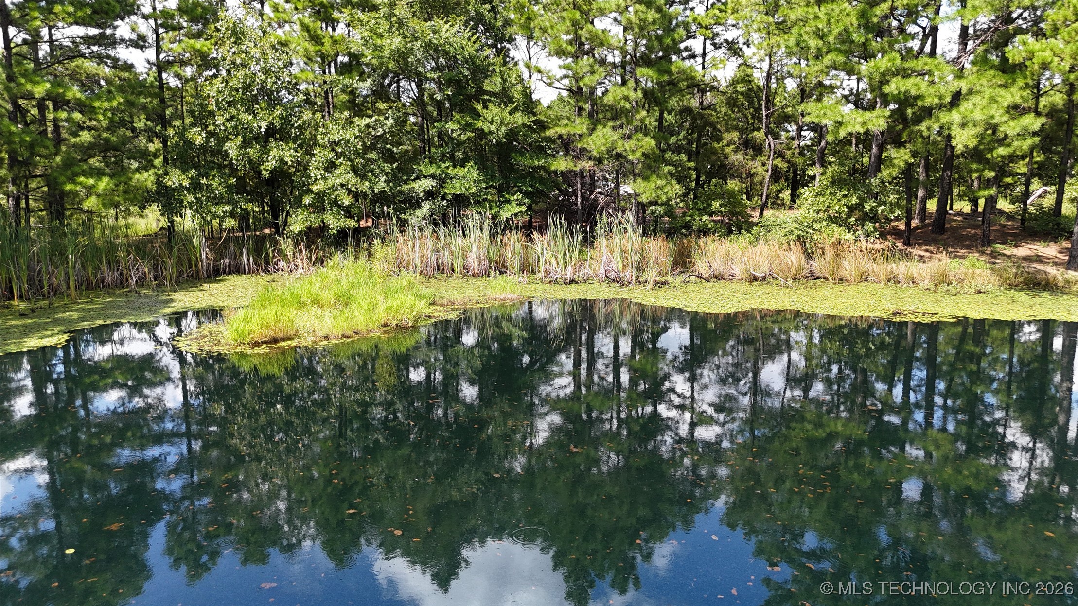 2602861 Property Photo 3