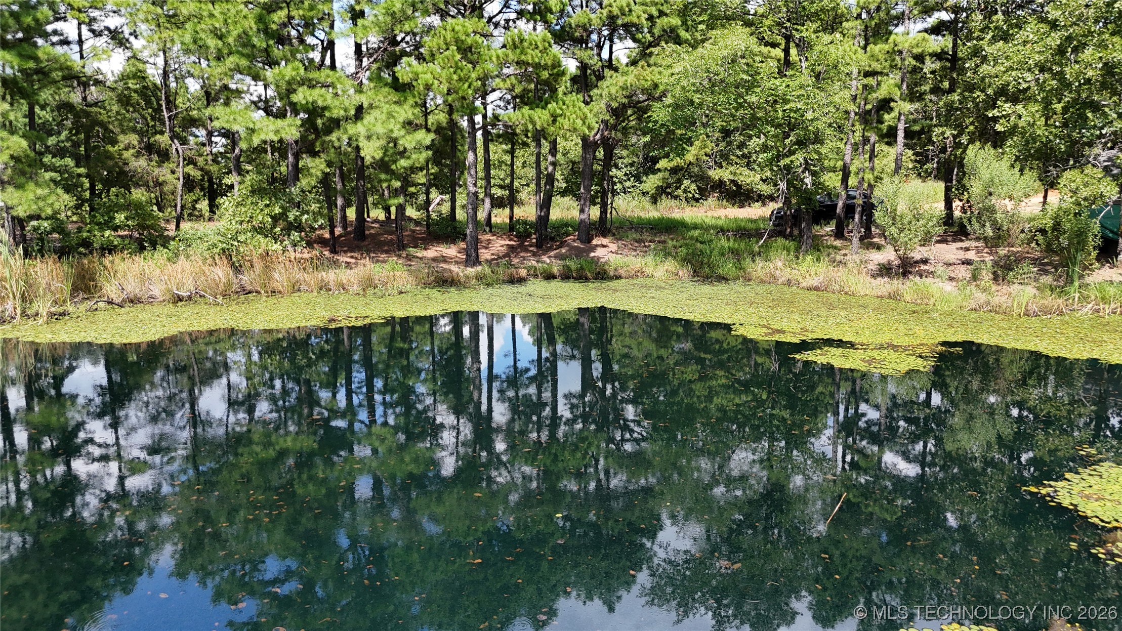 2602861 Property Photo 4