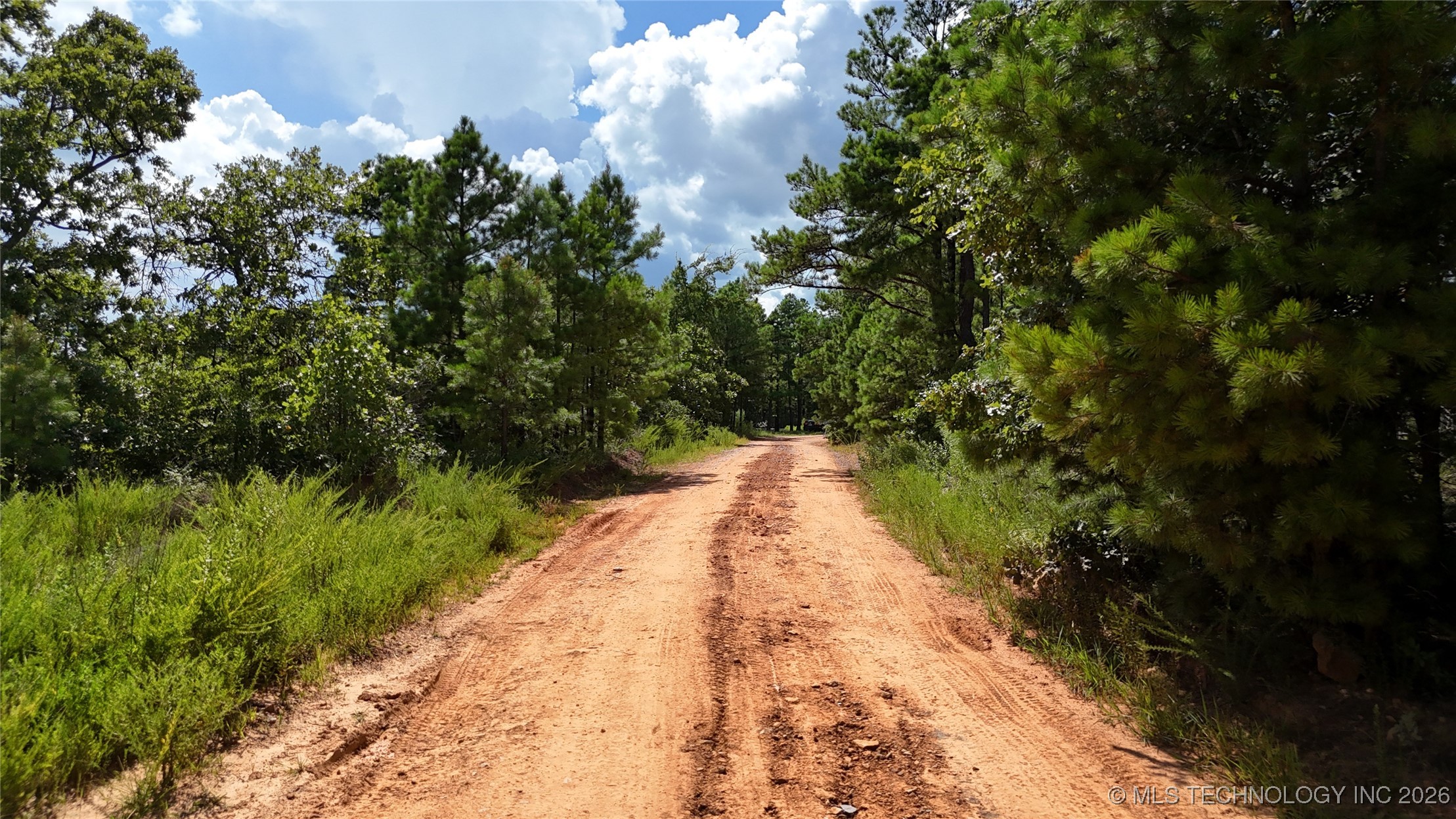 2602861 Property Photo 21