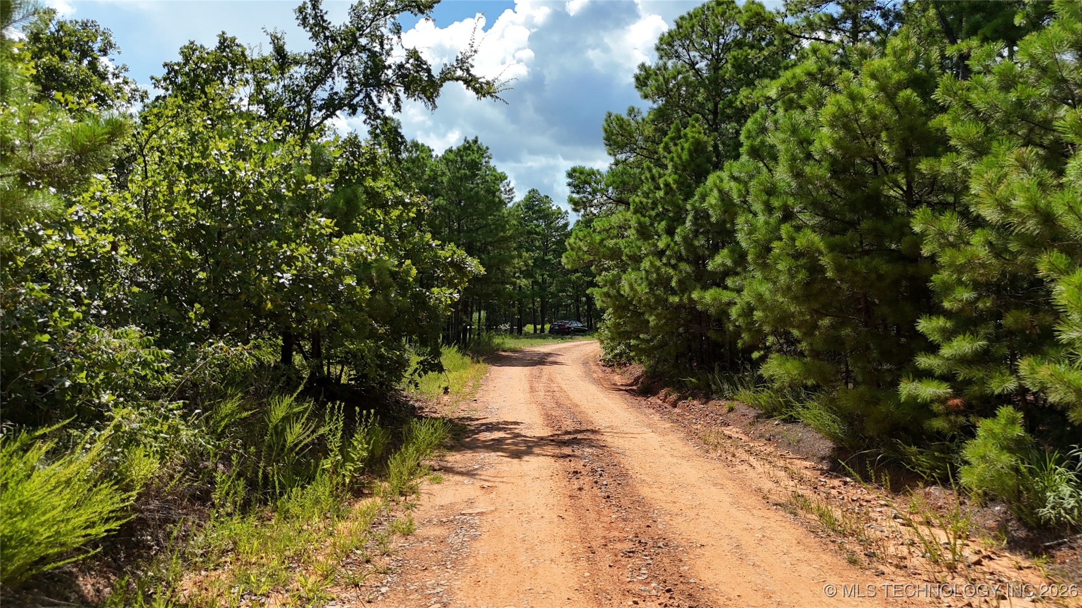 2602861 Property Photo 22