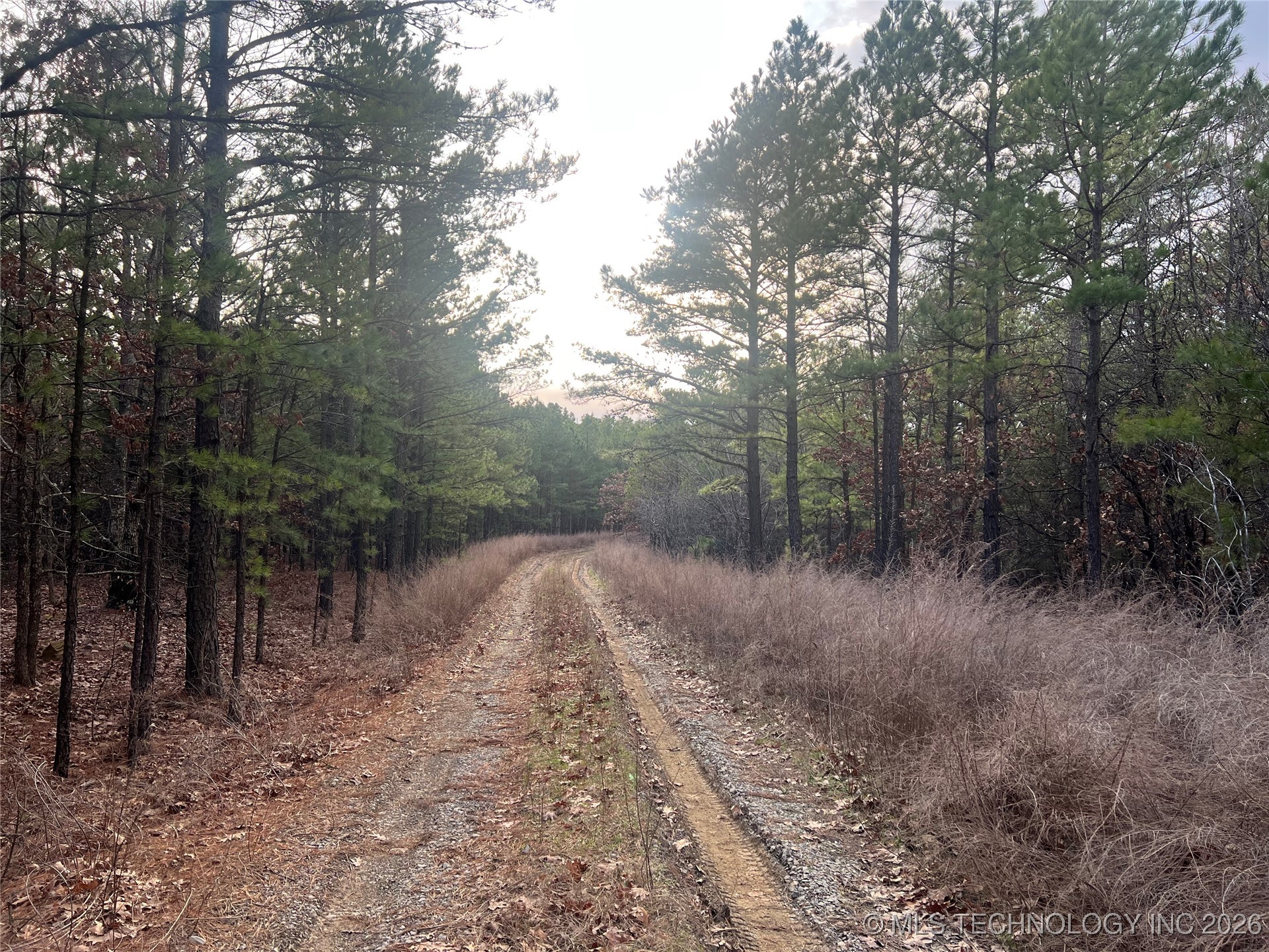 6105 Se 1095 Avenue Property Photo 3