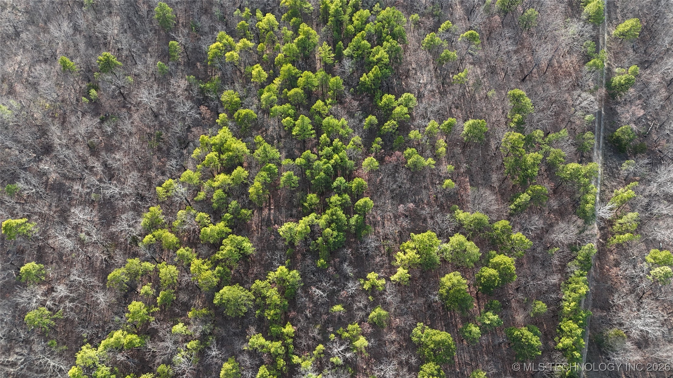 6105 Se 1095 Avenue Property Photo 8