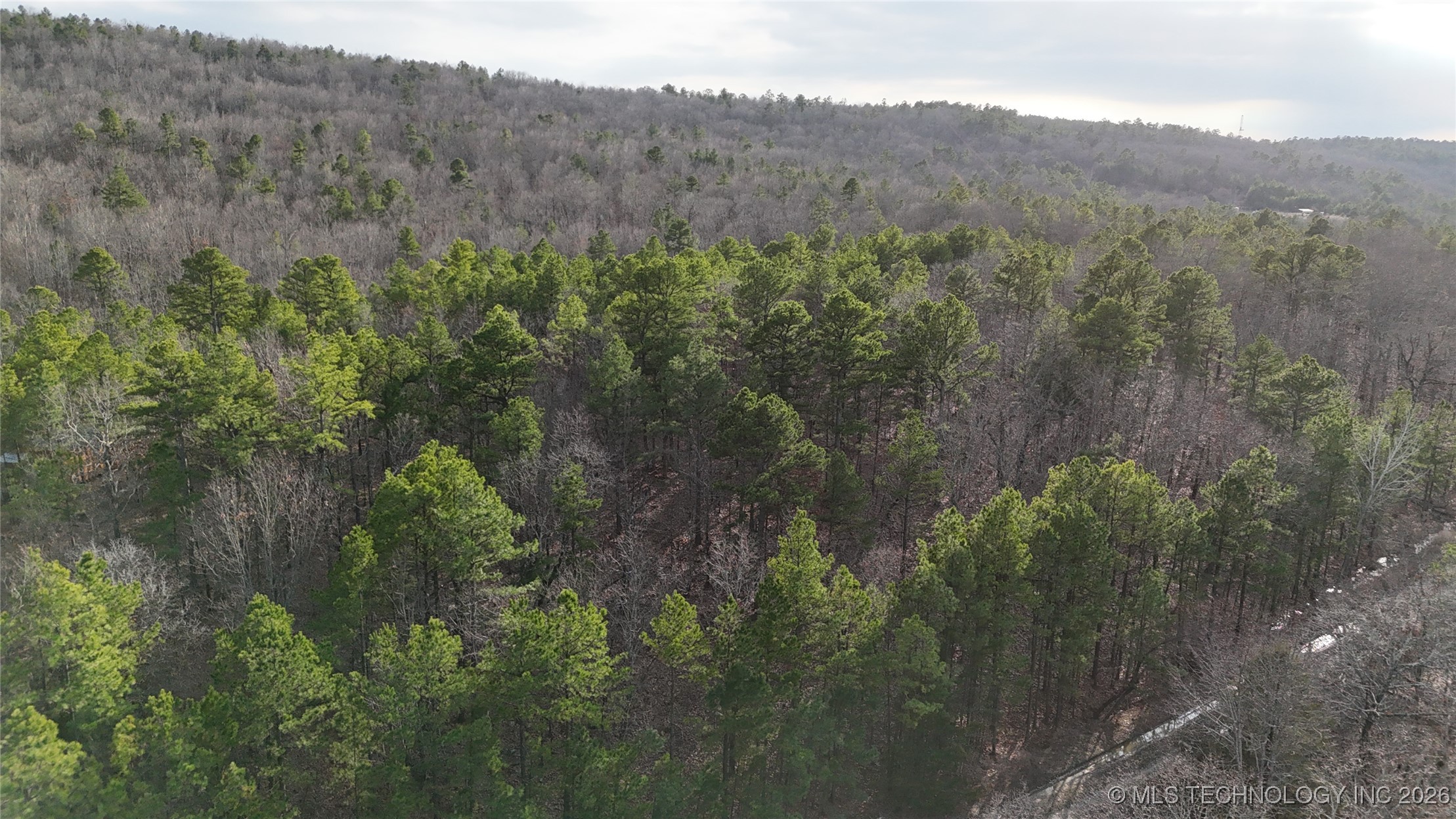 6105 Se 1095 Avenue Property Photo 10