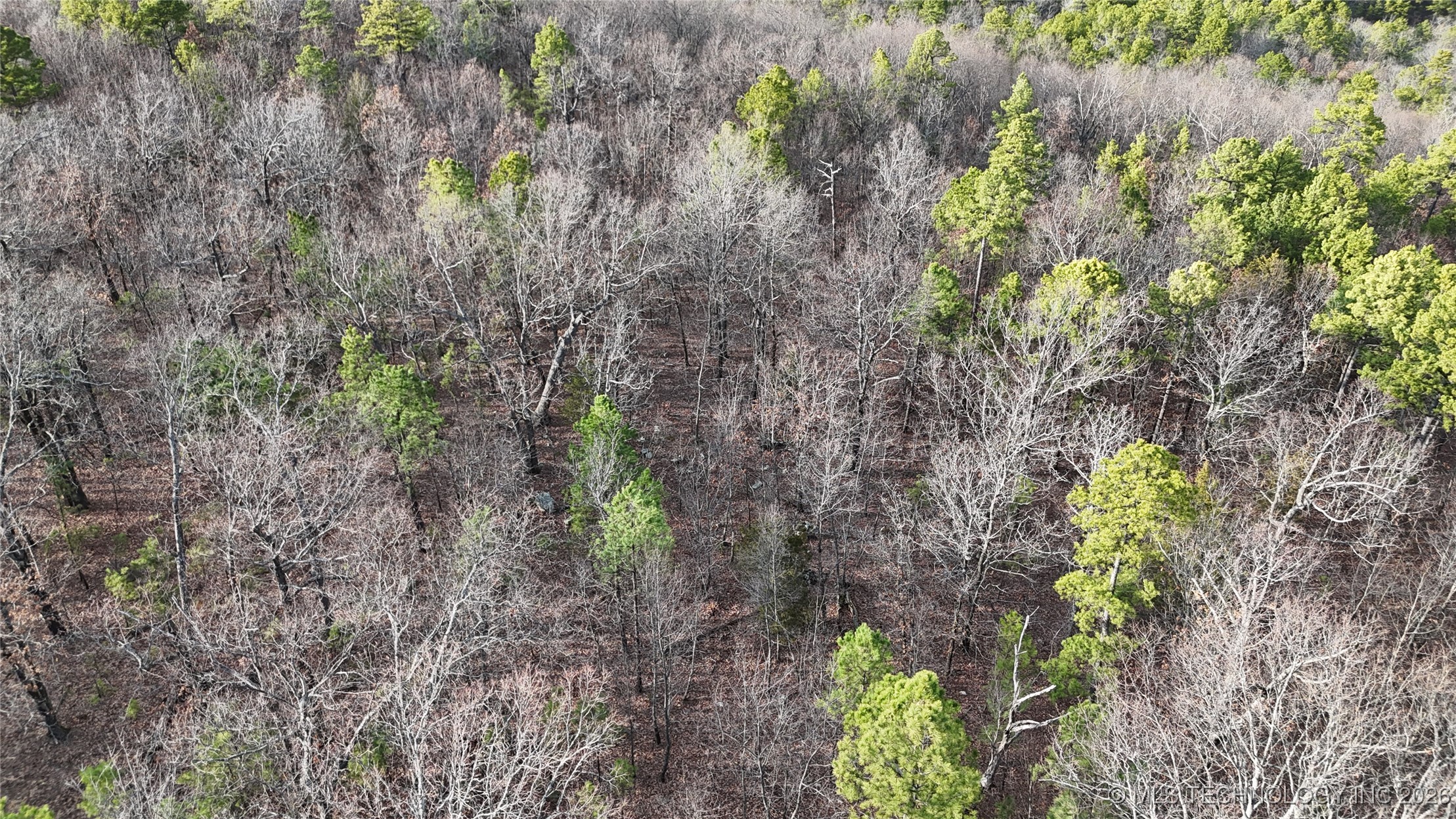 6105 Se 1095 Avenue Property Photo 14