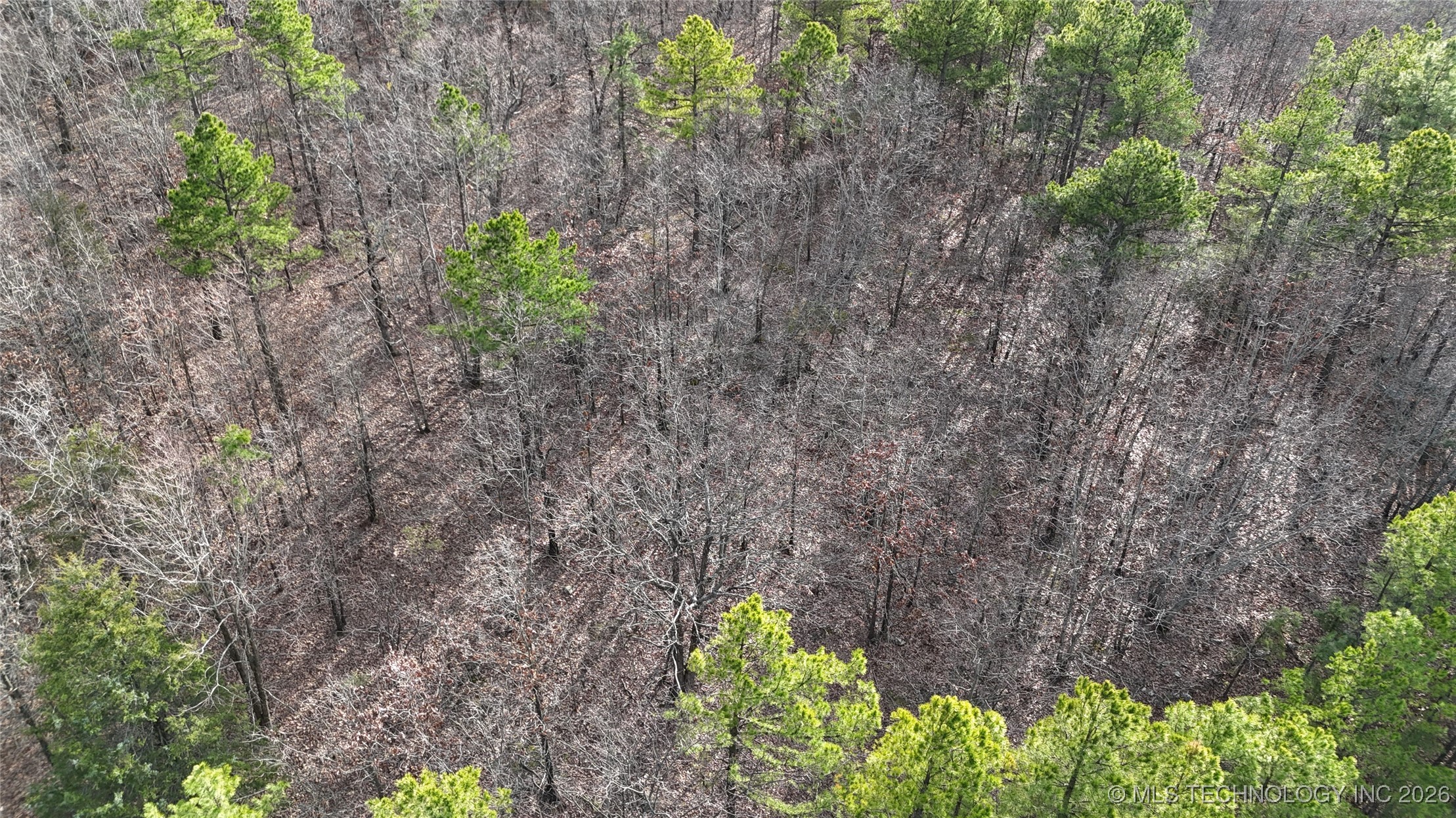 6105 Se 1095 Avenue Property Photo 15