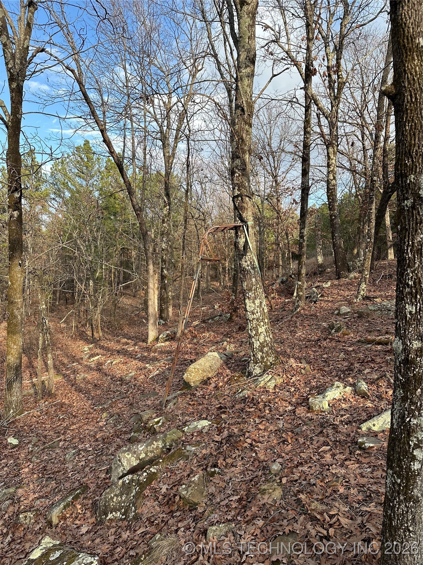 6105 Se 1095 Avenue Property Photo 20