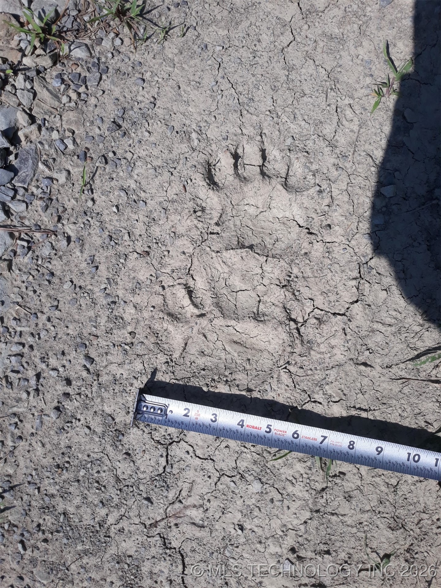 6105 Se 1095 Avenue Property Photo 25