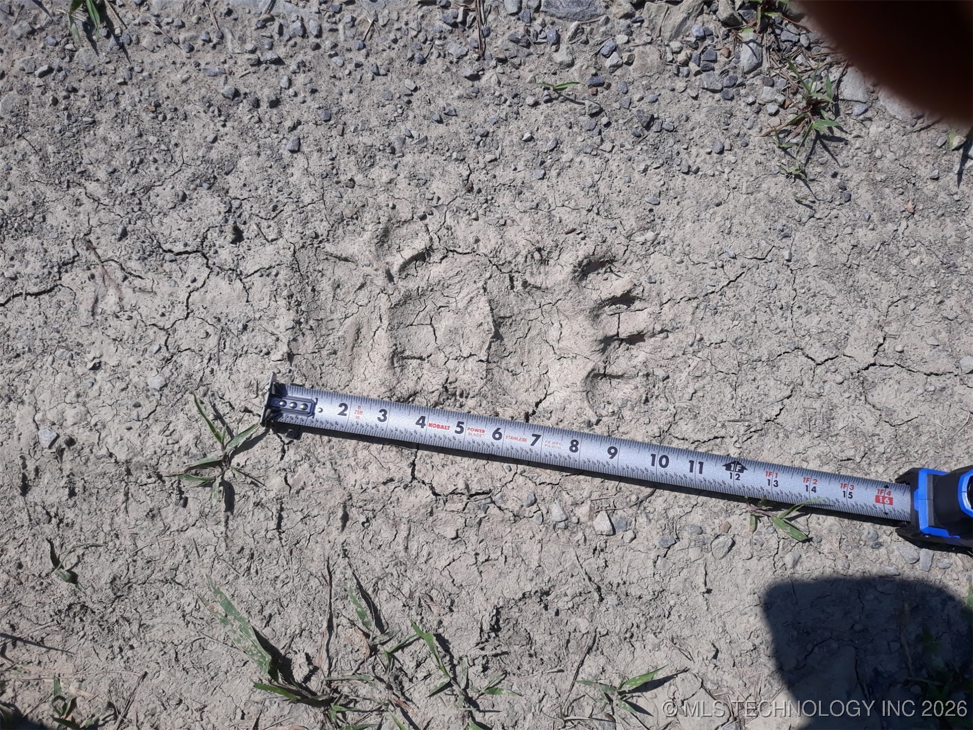 6105 Se 1095 Avenue Property Photo 27