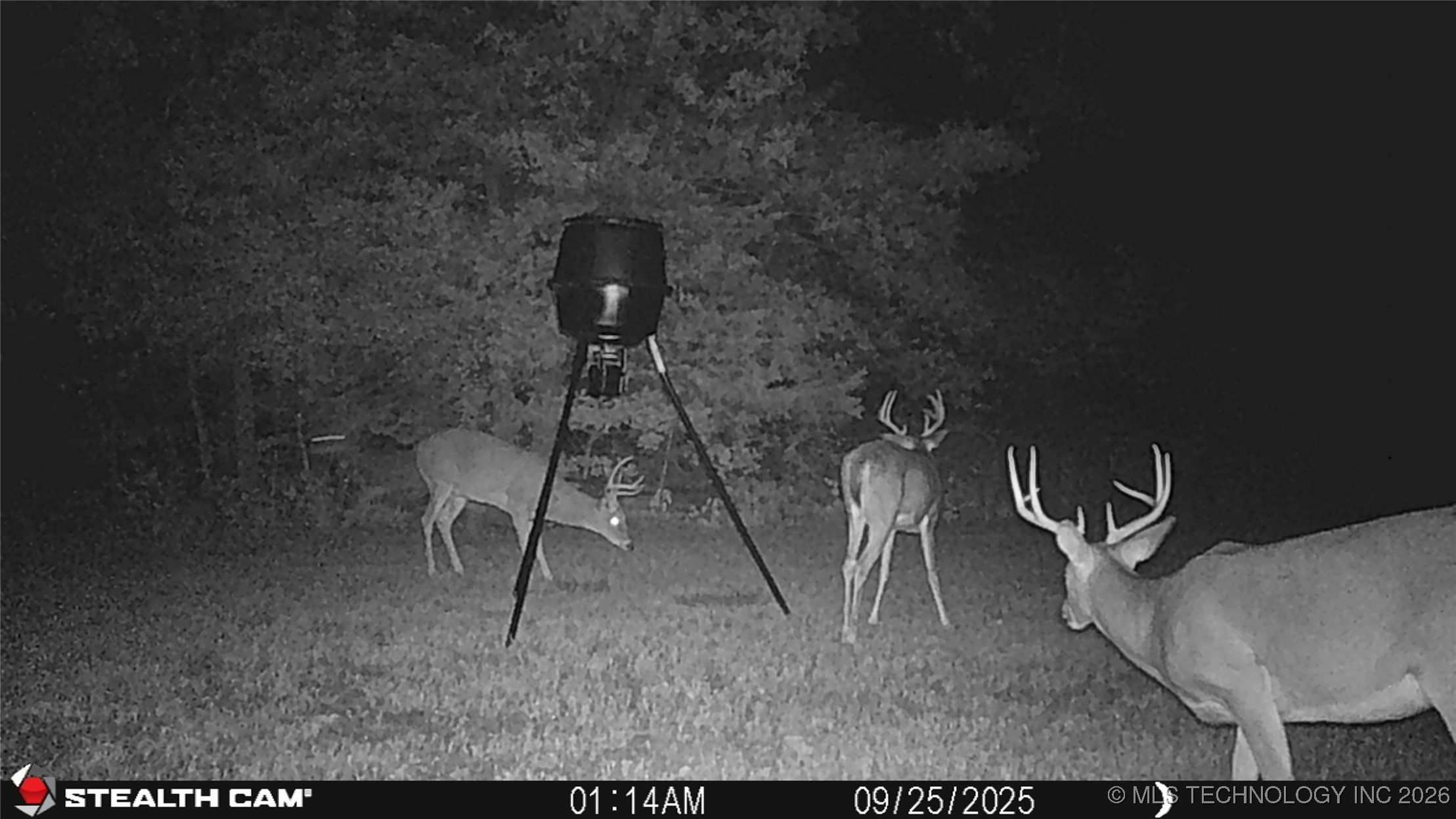 348550 E Parkside Drive Property Photo 5