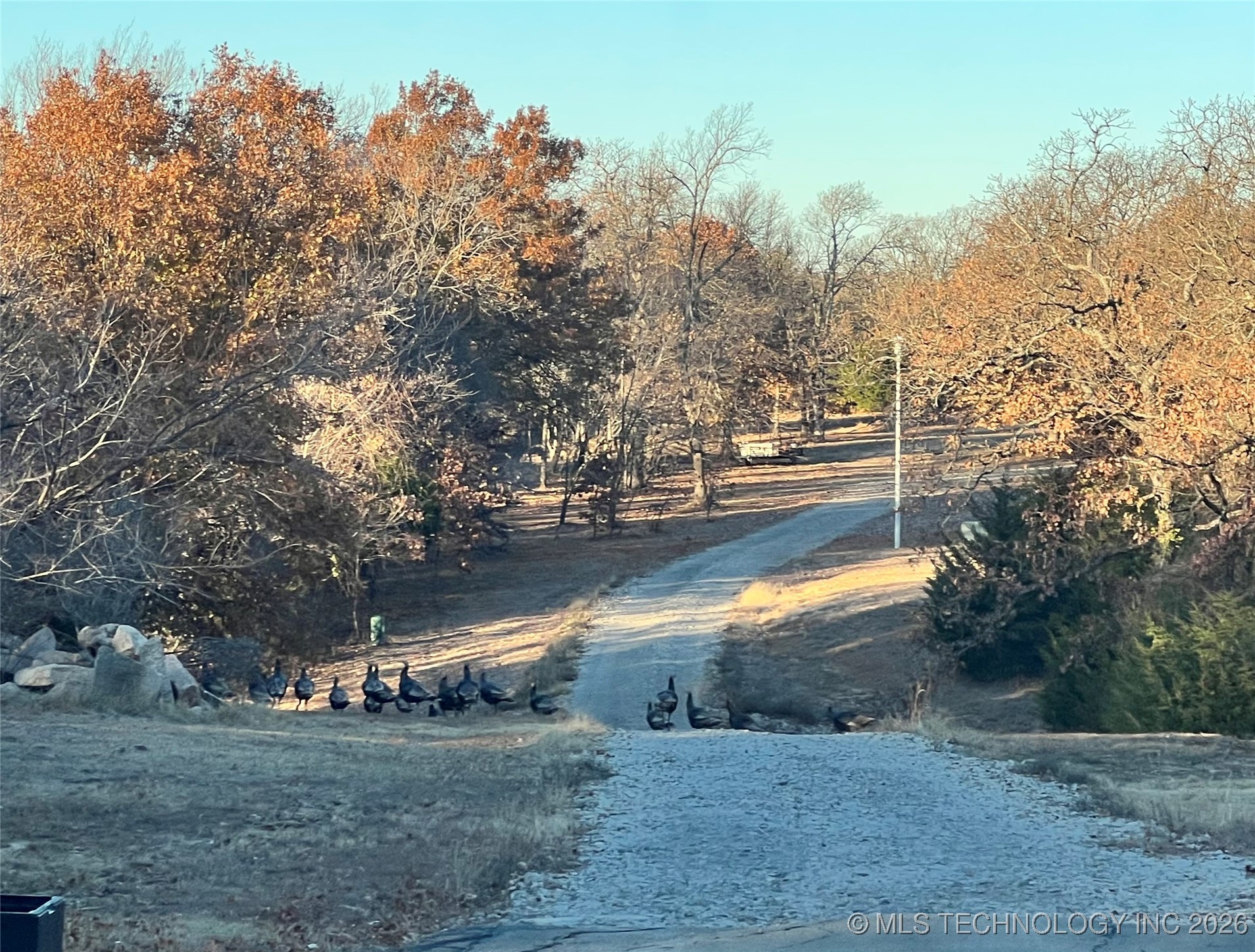 348550 E Parkside Drive Property Photo 6