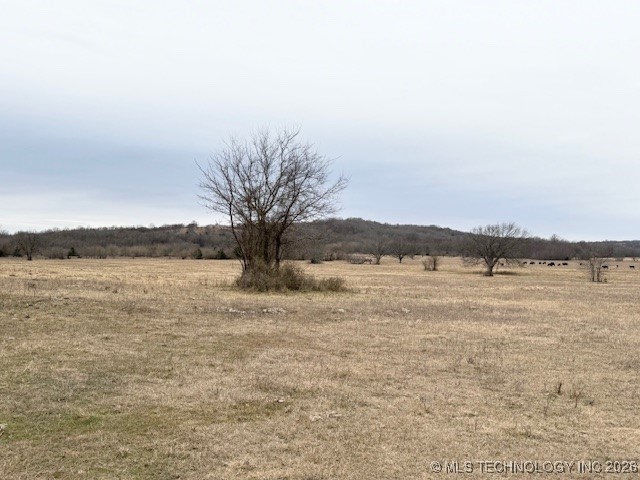 0000 County Road 1690 Property Photo 5