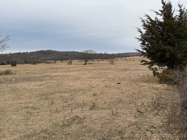 0000 County Road 1690 Property Photo 6