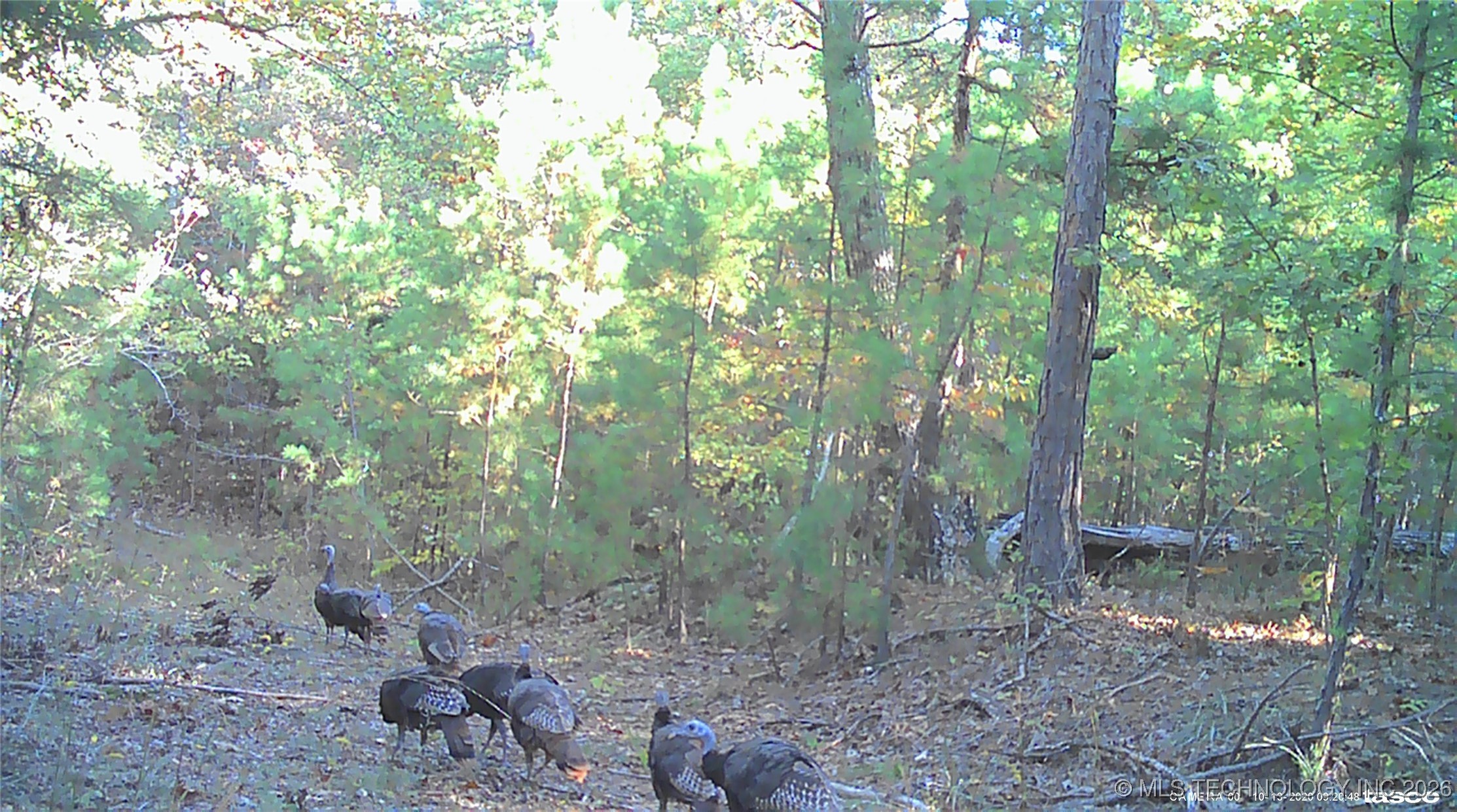 00 N Garland Trail N Property Photo 78