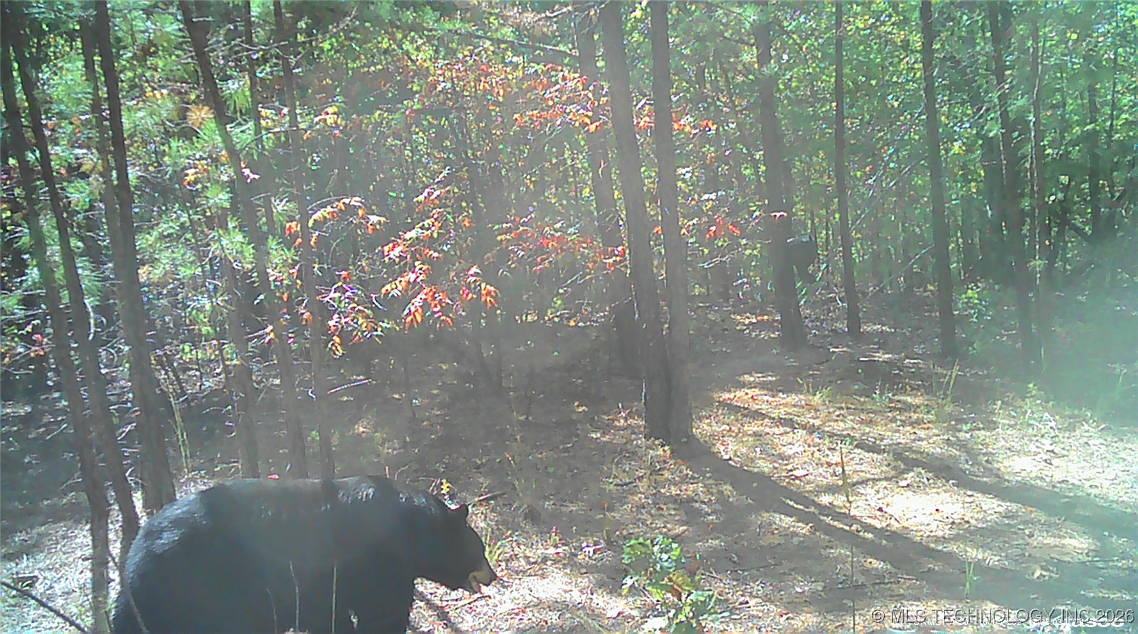 00 N Garland Trail N Property Photo 80