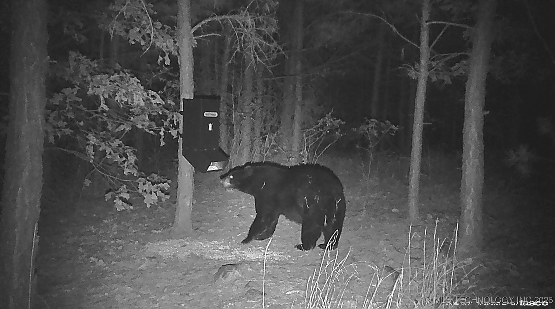 00 N Garland Trail N Property Photo 81