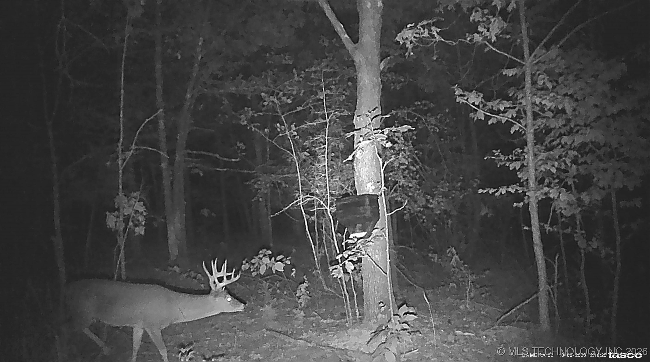 00 N Garland Trail N Property Photo 83