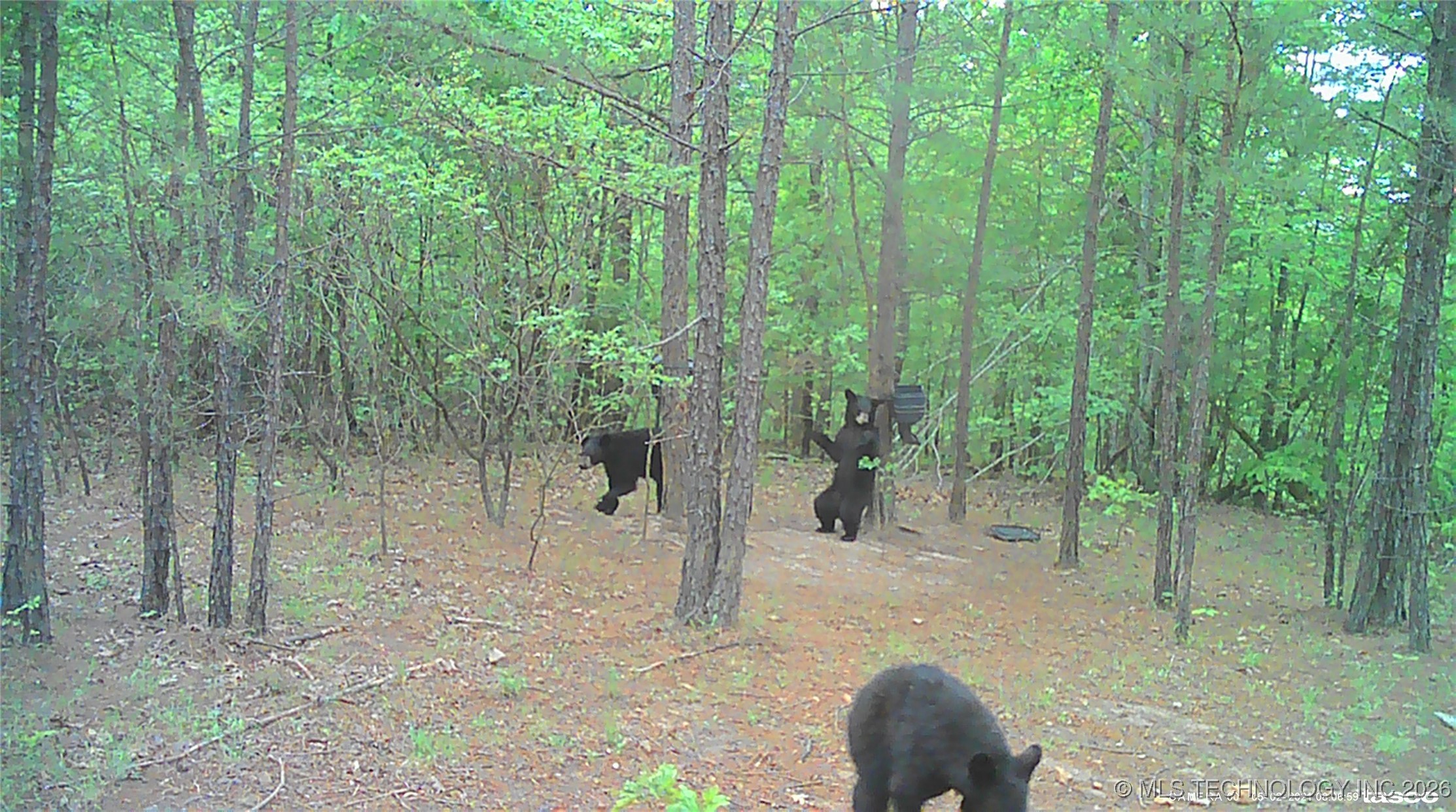 00 N Garland Trail N Property Photo 84