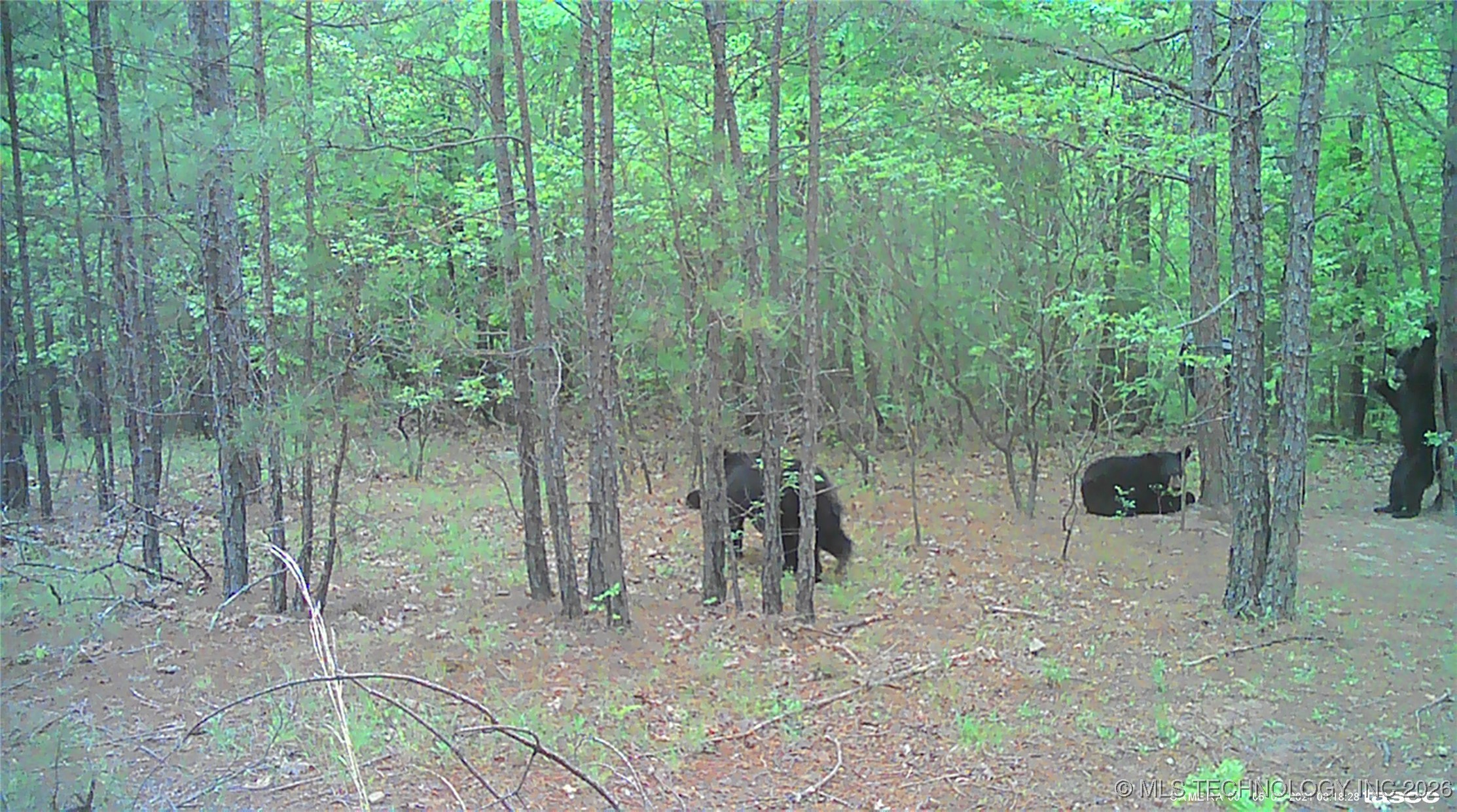 00 N Garland Trail N Property Photo 85