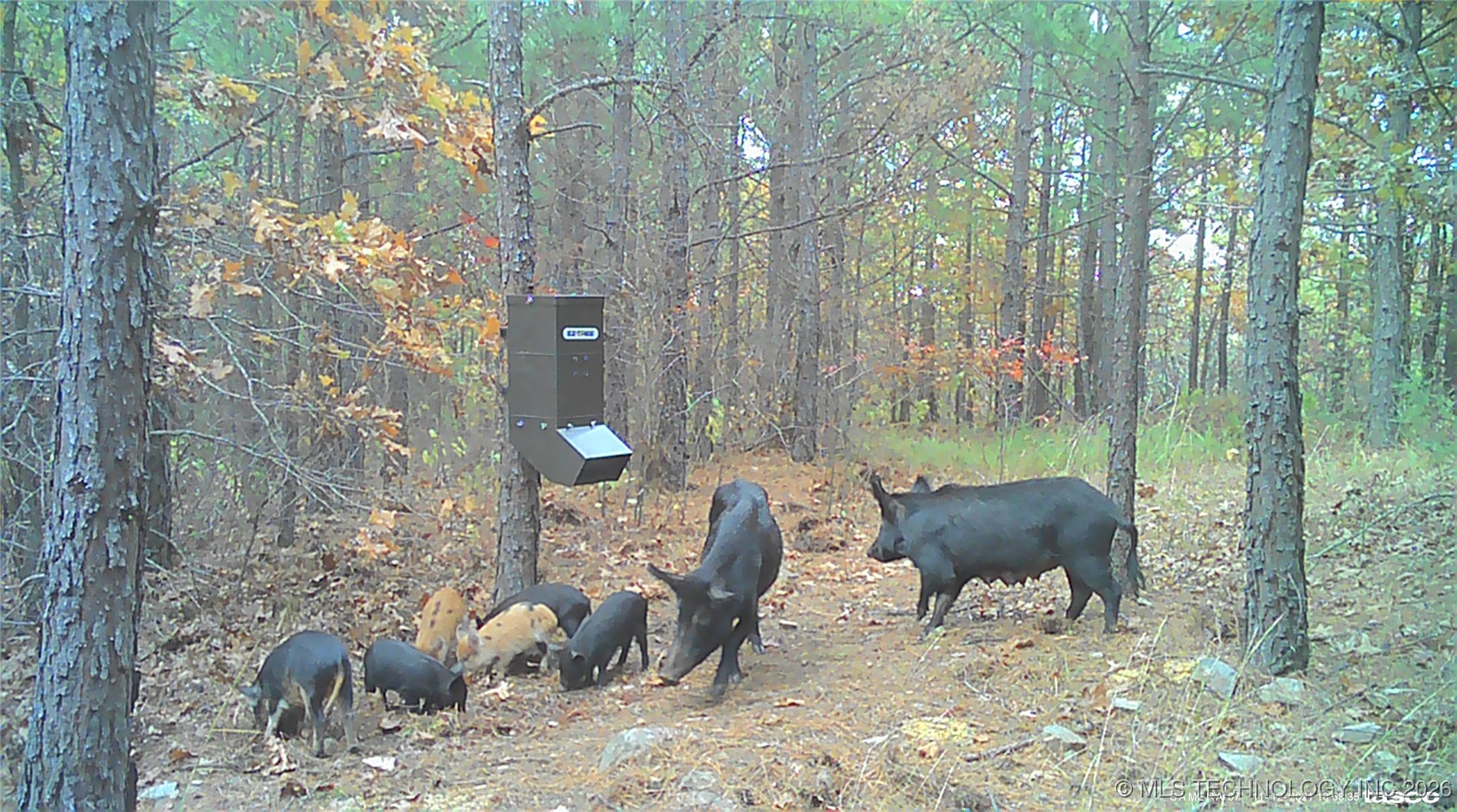 00 N Garland Trail N Property Photo 86