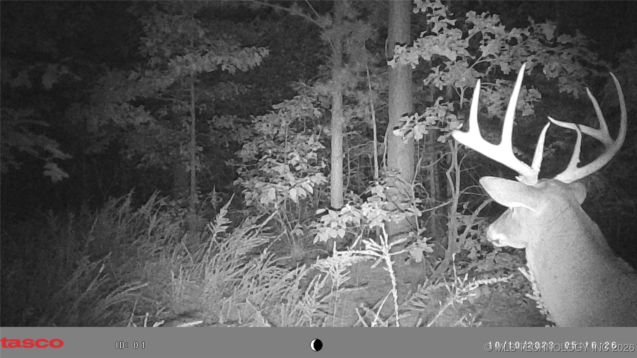 00 N Garland Trail N Property Photo 87