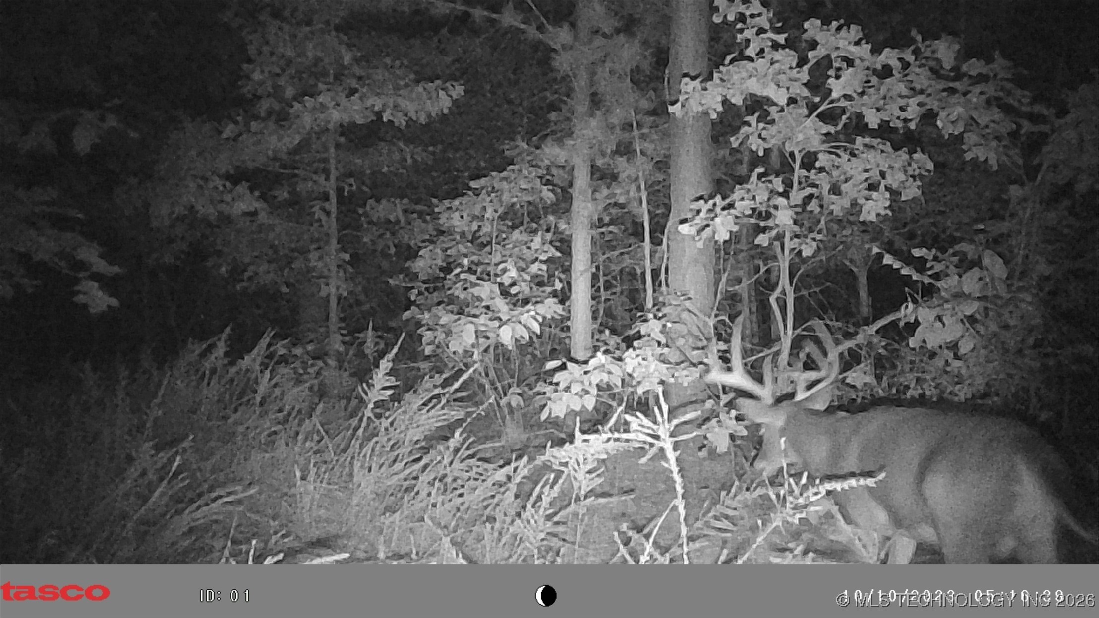 00 N Garland Trail N Property Photo 88