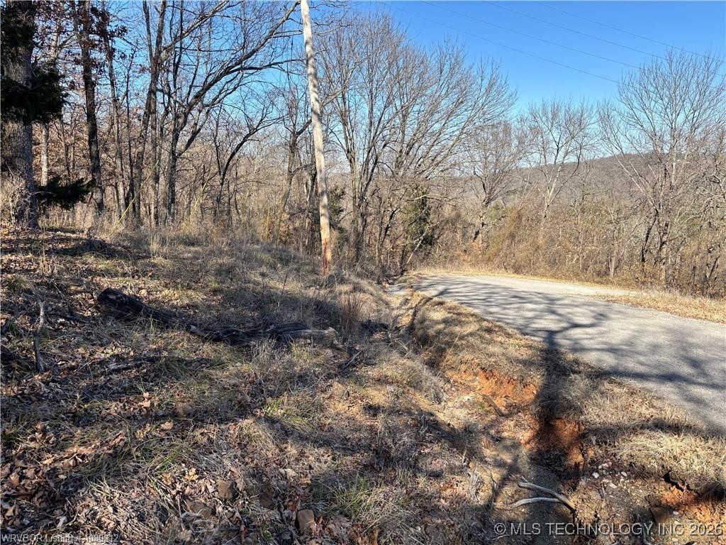 W Kelsey Drive Property Photo 2