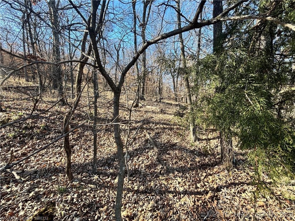 W Kelsey Drive Property Photo 3