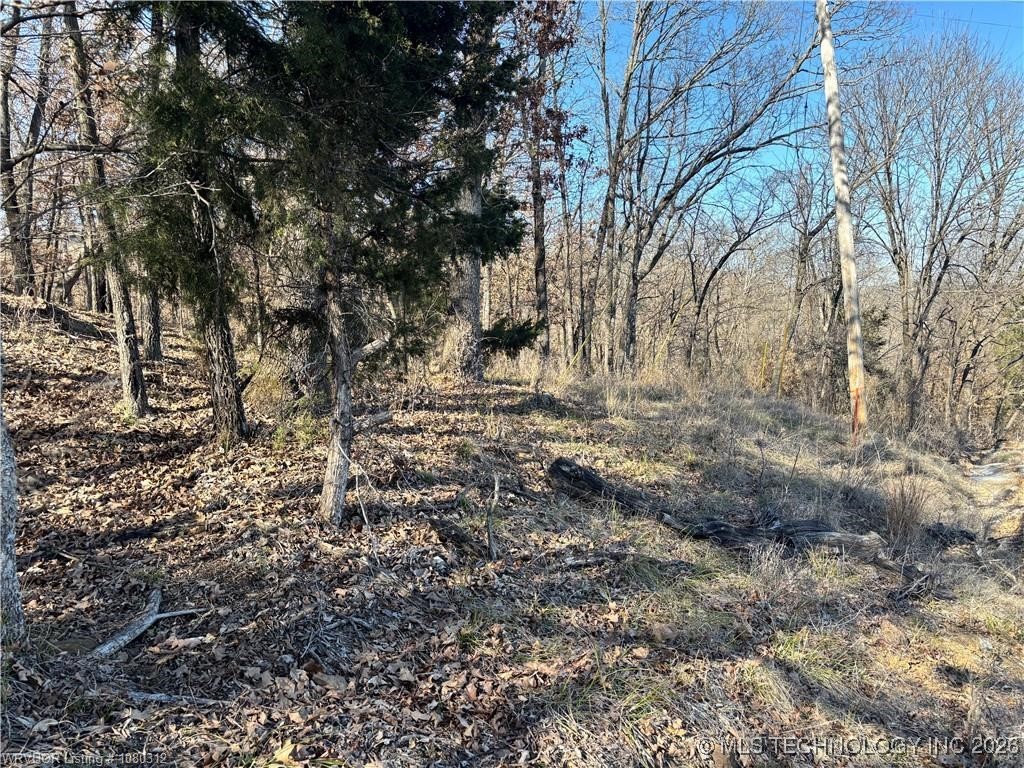 W Kelsey Drive Property Photo 4