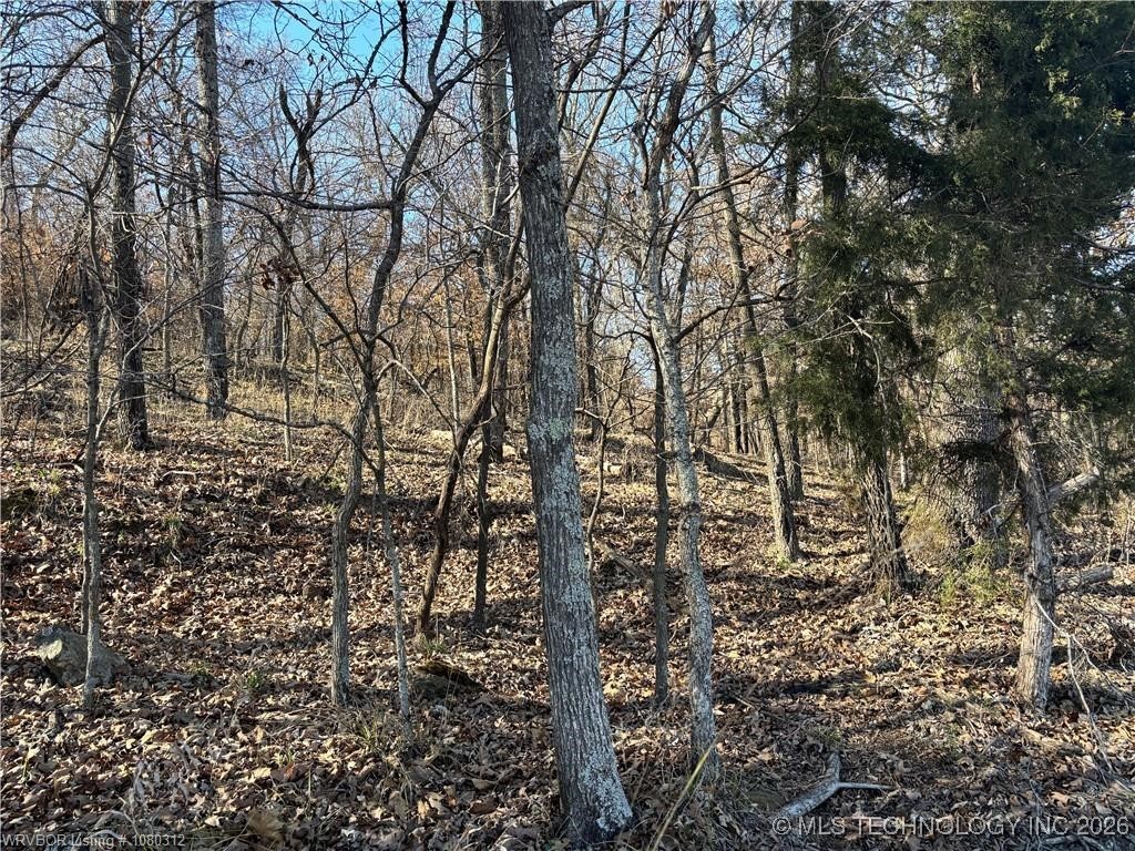 W Kelsey Drive Property Photo 5