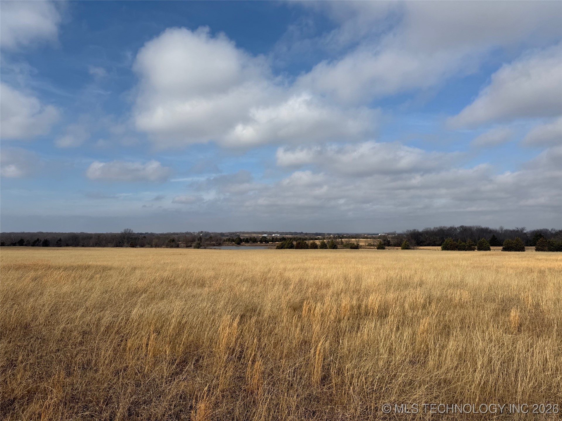 Kirsey Road Property Photo 18