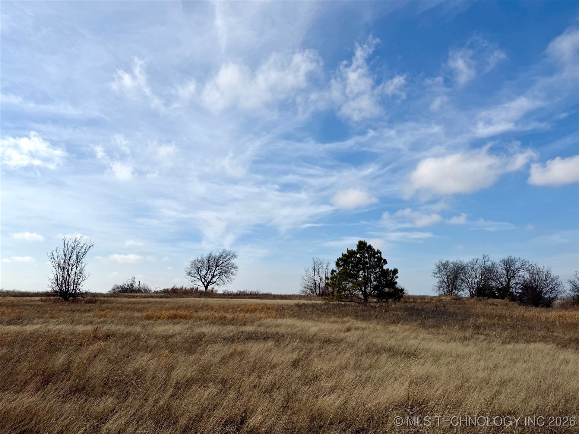 Kirsey Road Property Photo 24