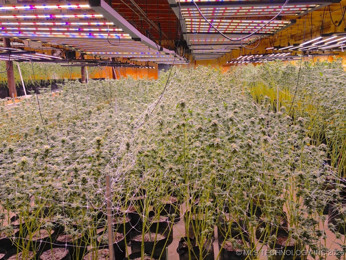 7987 N Highway 69 Property Photo 31