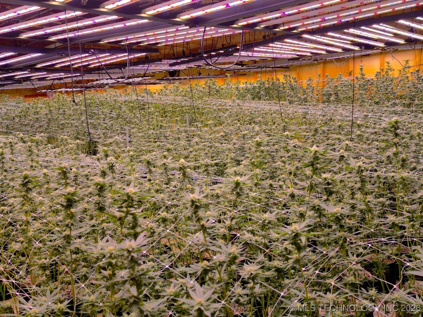 7987 N Highway 69 Property Photo 33