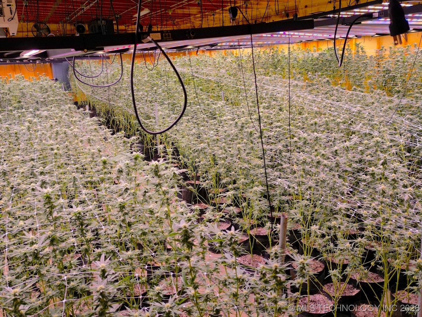 7987 N Highway 69 Property Photo 35