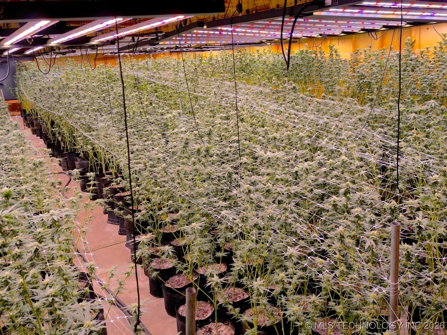 7987 N Highway 69 Property Photo 37