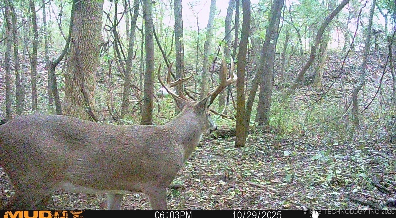 32868 E 171st Street S Property Photo 53