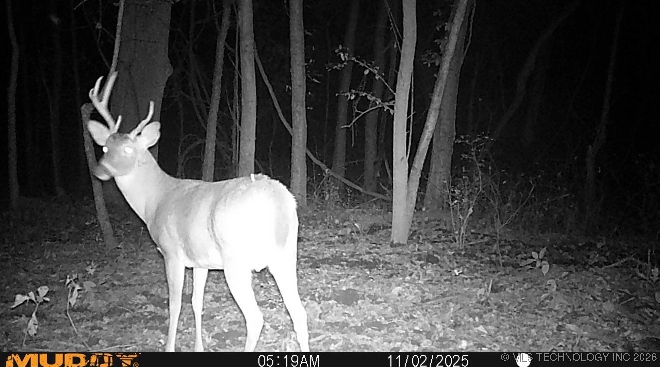 32868 E 171st Street S Property Photo 54