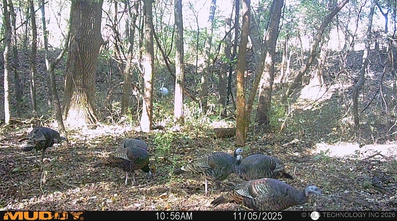 32868 E 171st Street S Property Photo 55