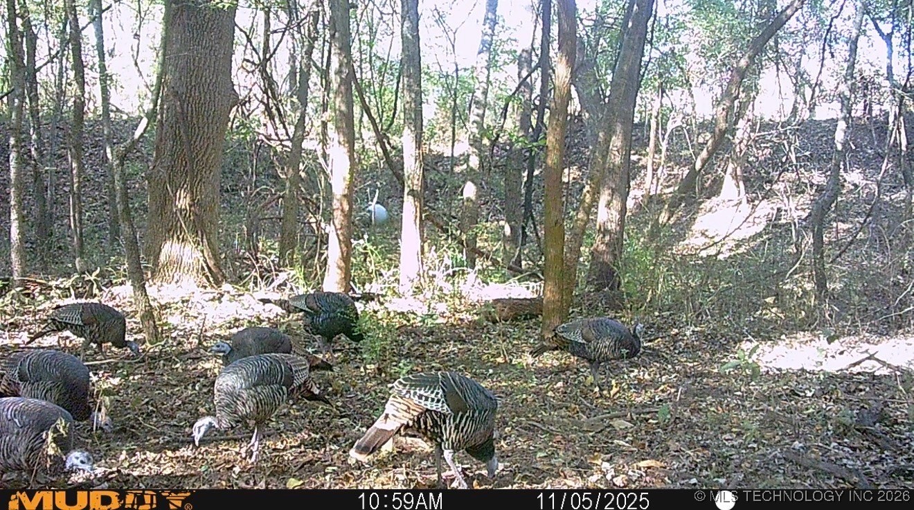 32868 E 171st Street S Property Photo 56