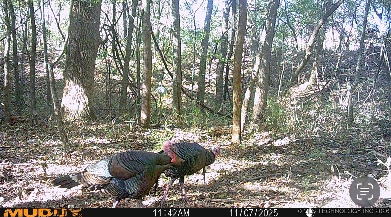 32868 E 171st Street S Property Photo 57