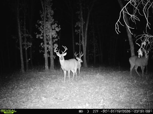 4 N 364 Road Property Photo 4