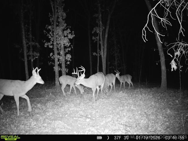 4 N 364 Road Property Photo 10