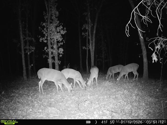 4 N 364 Road Property Photo 12