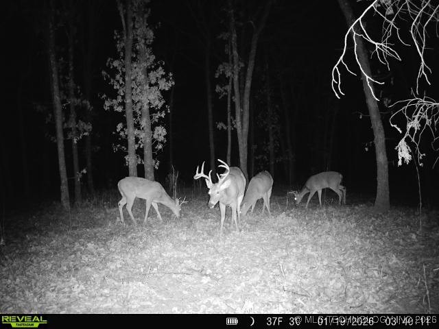 4 N 364 Road Property Photo 13