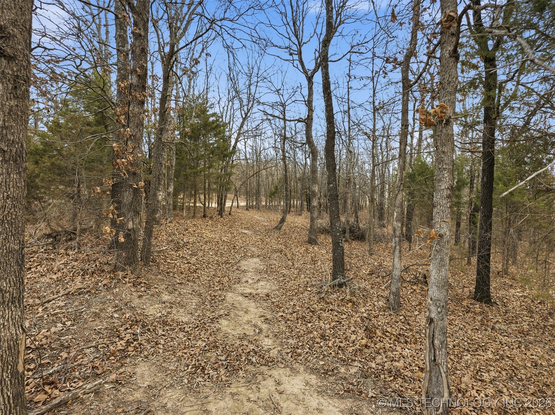 4 N 364 Road Property Photo 40